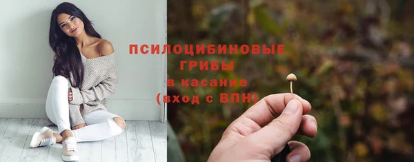 мяу мяу мука Алзамай