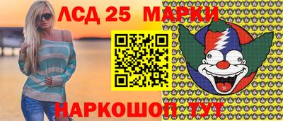 индика Абакан