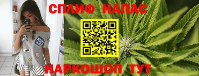 индика Абакан