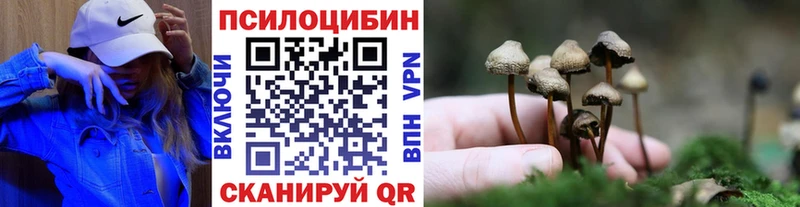 где продают   Алексеевка  MEGA как зайти  Галлюциногенные грибы MAGIC MUSHROOMS 