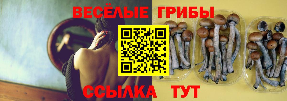 Галлюциногенные грибы мухоморы Алексеевка